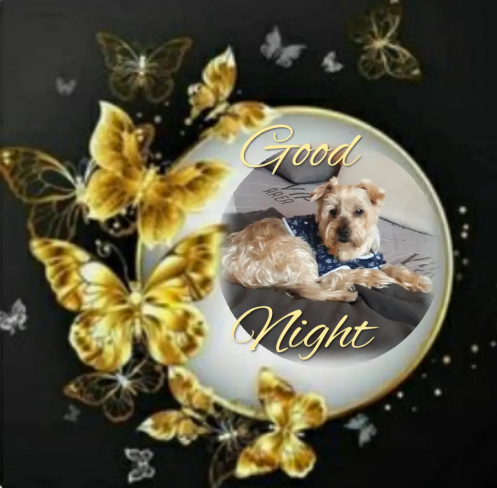 Condolence image of ✨️Dobranoc✨️ nasz najdroższy Jackusiu♥️