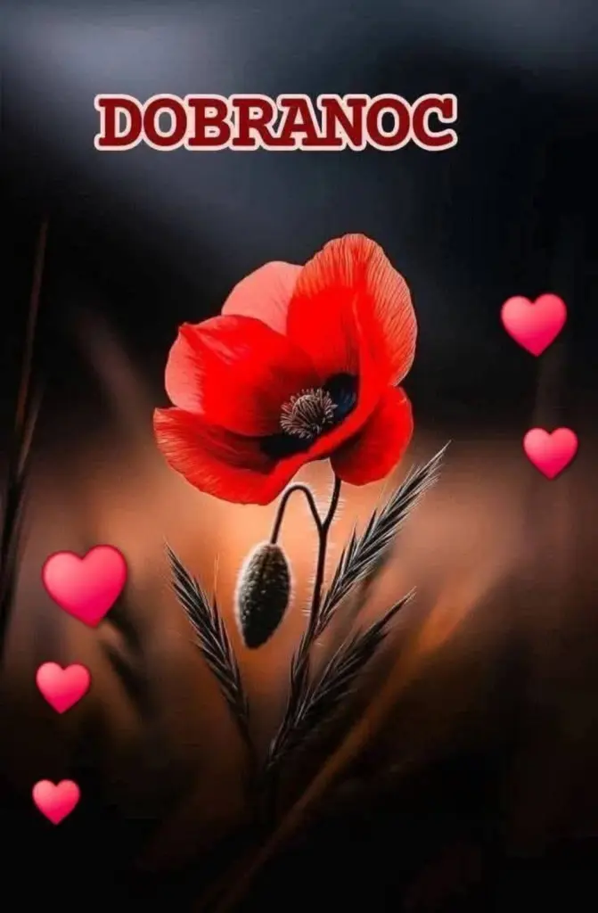 Condolence image of ✨️Dobranoc✨️ nasz najdroższy Jackusiu♥️