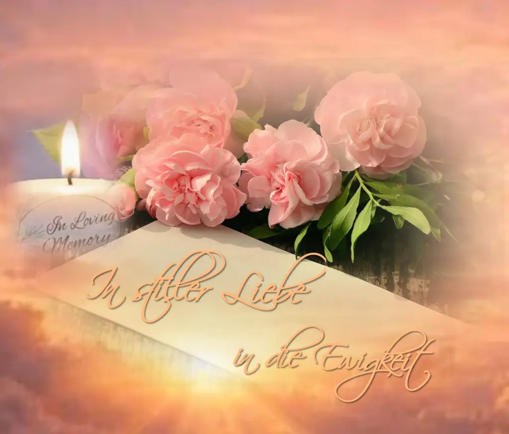 Condolence image of Für 🥀♡Jacki ♡🥀 zum✰ Monatsgedenktag✰