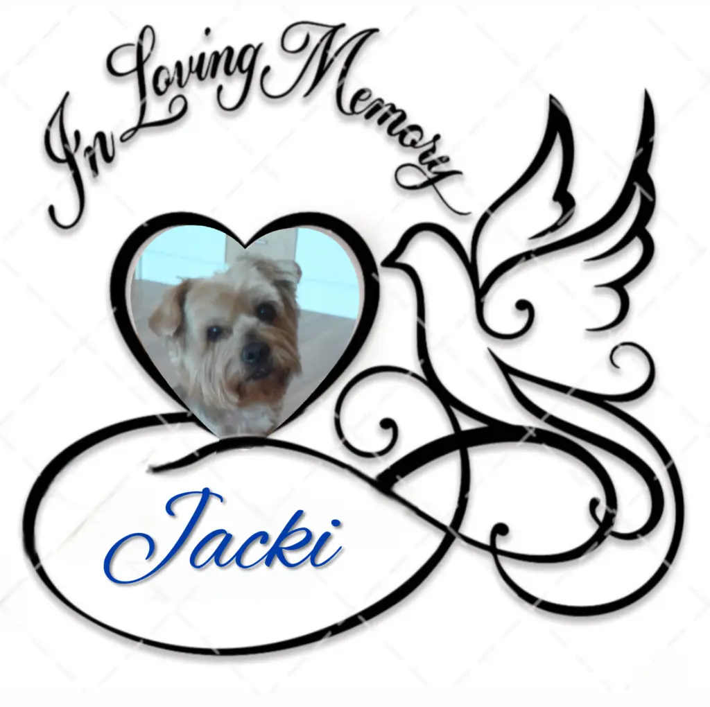 Condolence image of Sonntag, 201 Wochen ohne Dichꨄ liebster Jackiꨄ