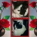 Condolence image of Snoopy und Pünktchen❤️❤️