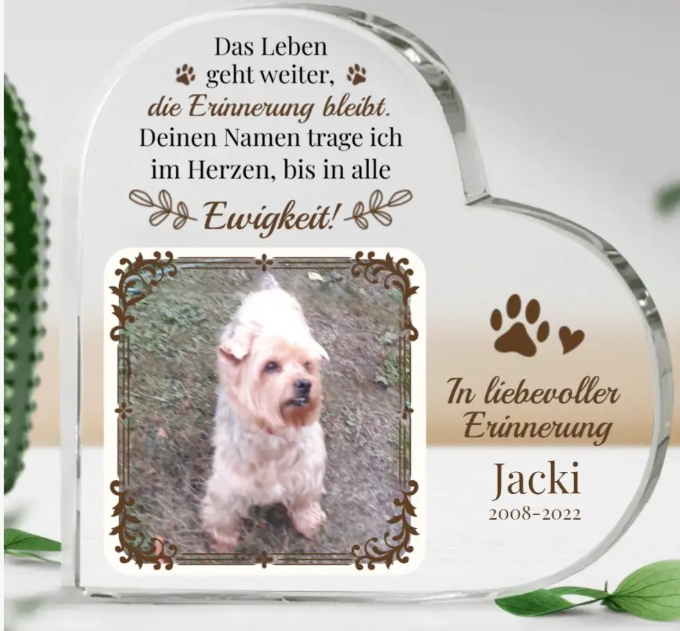 Bild von Jacki❤️