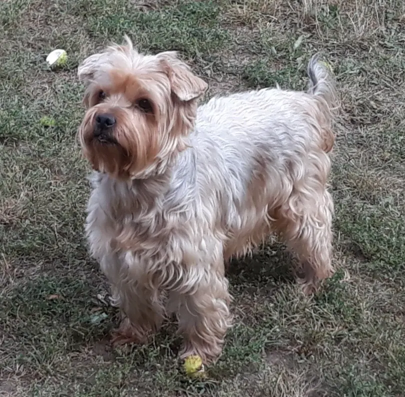 Bild von Jacki❤️