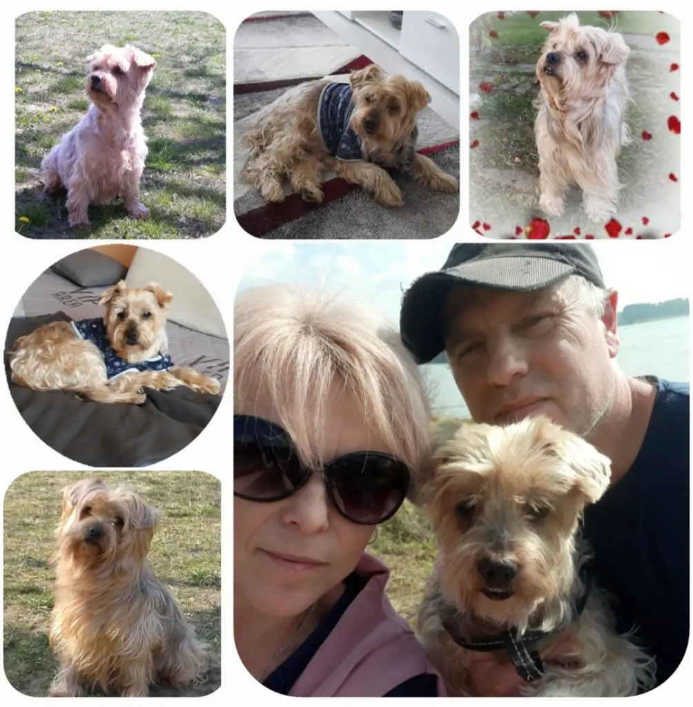 Bild von Jacki❤️