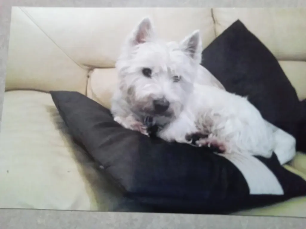 Andachtsbild von Karina mit Teddy tief im Herzen ???? 