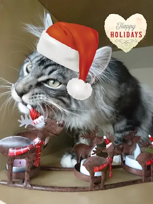 Andachtsbild von Zoryana&Philip