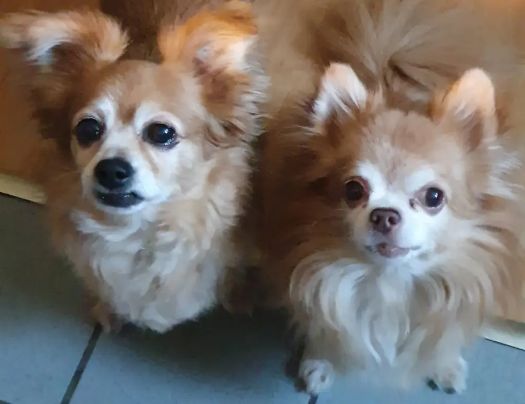 Andachtsbild von Britta 