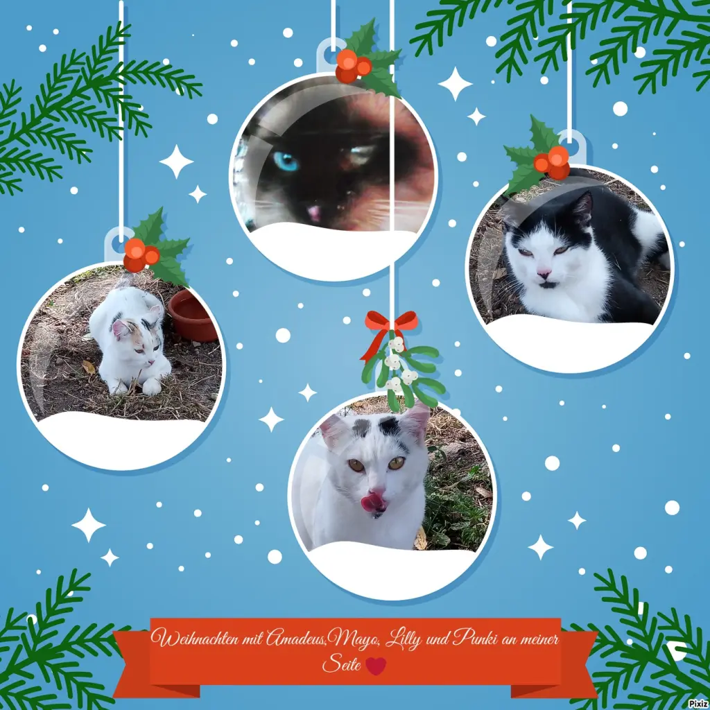 Bild von Schöne Weihnachten für alle Sternchen ❤️