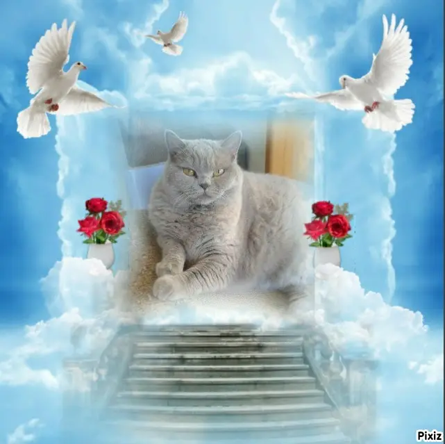 Andachtsbild von Tanja mit Timmy im Herzen