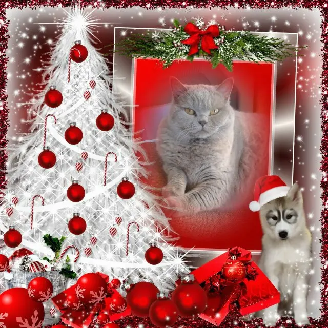 Andachtsbild von Frohe❤❤❤Weihnachten❤❤❤