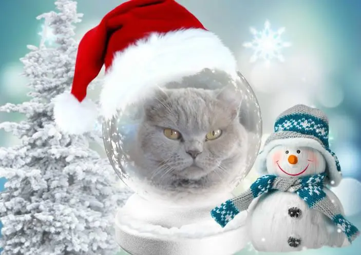 Andachtsbild von ❤️❤️❤️❤️❤️❤️❤️❤️❤️❤️❤️❤️