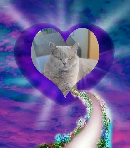 Andachtsbild von Jutta mit Purzel tief im Herzen ✟ 08.05.2016