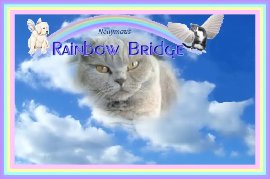 Andachtsbild von Sabine mit Kaspar & Jessy tief im Herzen❤️☆ ¸.•*¨*•.