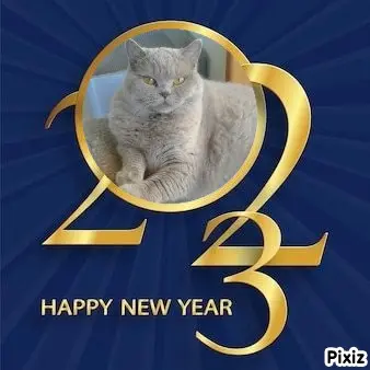 Andachtsbild von Tanja mit Timmy im Herzen