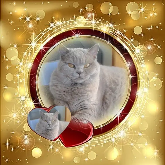 Andachtsbild von ❤️❤️❤️❤️❤️❤️❤️❤️❤️❤️❤️❤️