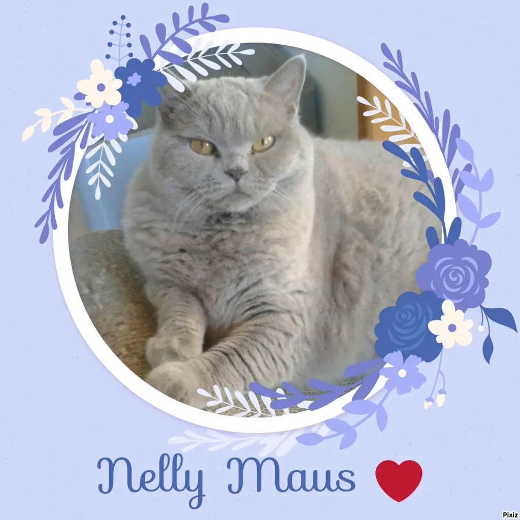 Andachtsbild von Tanja mit Timmy im Herzen