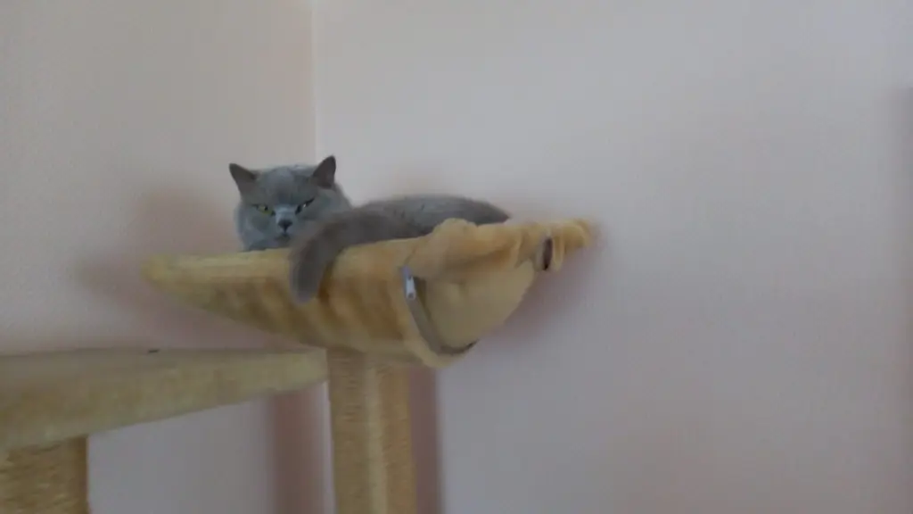 Andachtsbild von ❤❤❤❤