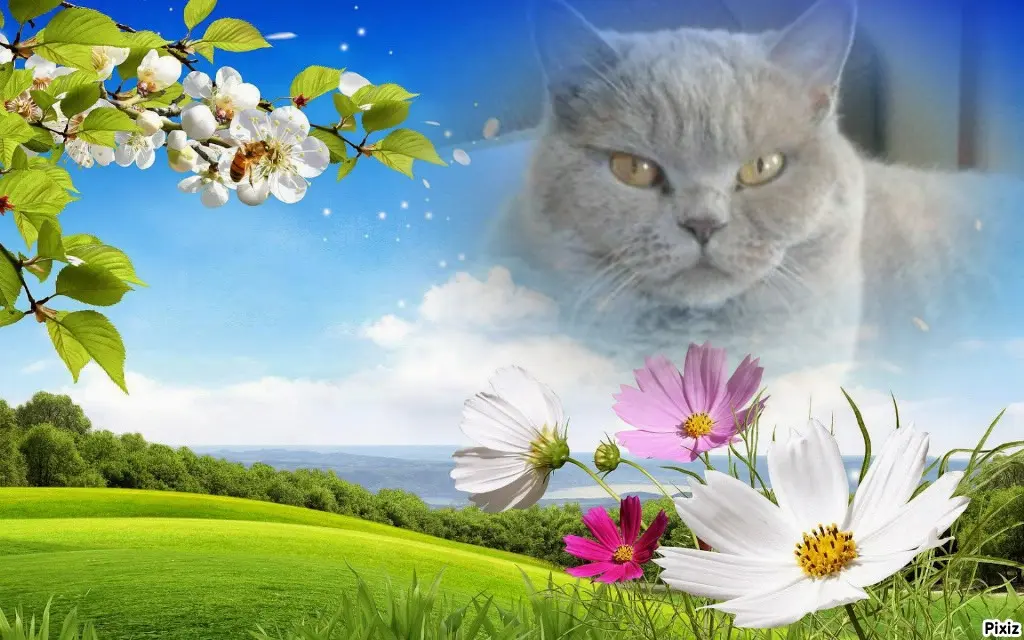 Andachtsbild von Tanja mit Timmy im Herzen