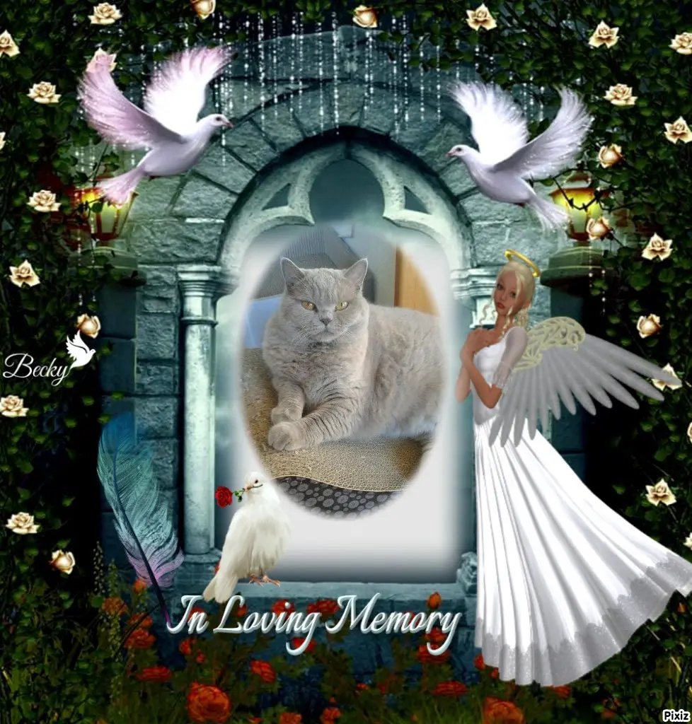 Andachtsbild von Tanja mit Timmy im Herzen