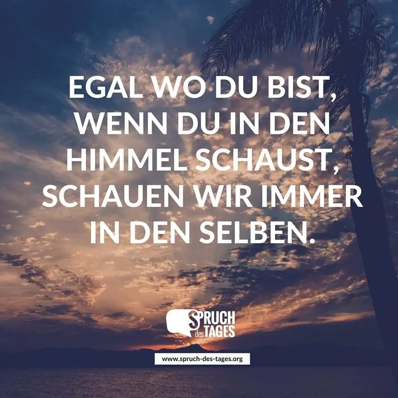 Andachtsbild von Für unsere Nellymaus