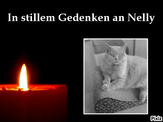 Andachtsbild von Tanja mit Timmy im Herzen