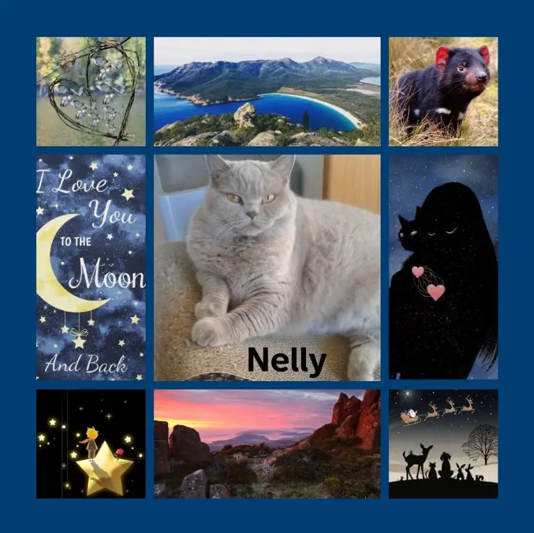 Andachtsbild von Rosen zum 1. Sternchengeburtstag für Nelly