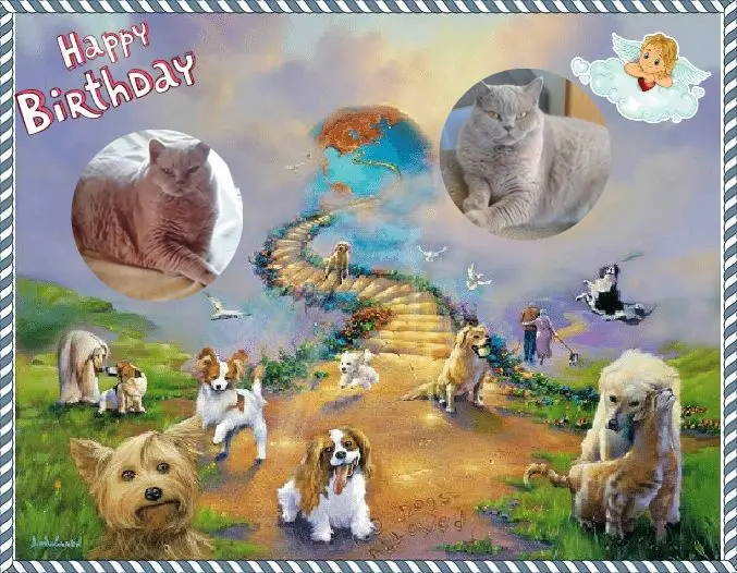 Andachtsbild von 15.Geburtstag❤️❤️❤️❤️❤️❤️❤️❤️❤️❤️❤️❤️❤️❤️❤️