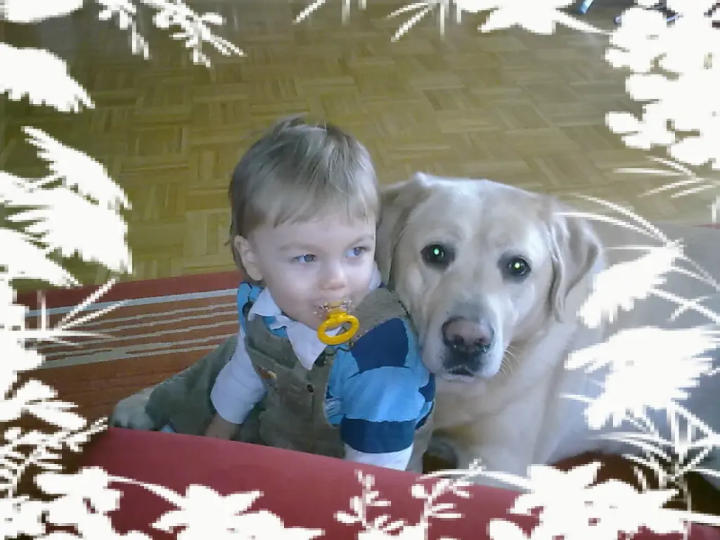 Image from Charlie