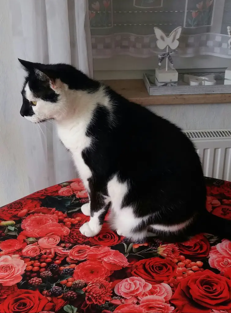 Andachtsbild von Annemarie und Elke mit Snoopy im Herzen gest.04.01.2022