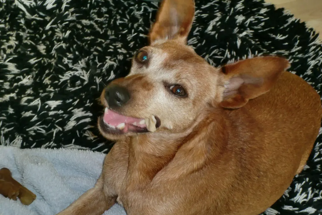 Condolence image of Jutta