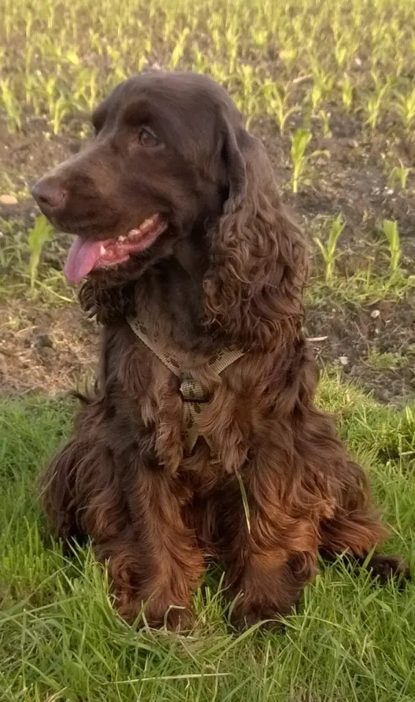 Condolence image of Kerstin mit Linus im Himmel 