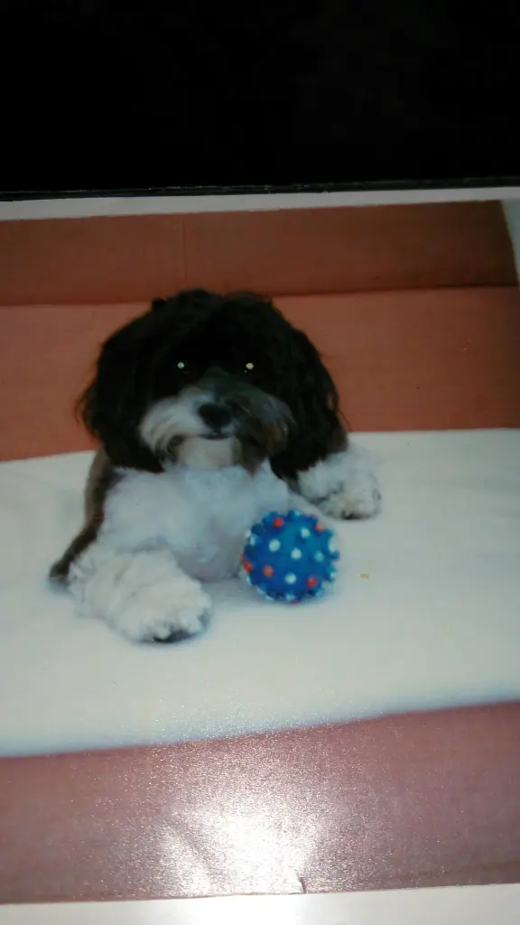 Condolence image of Sigrid