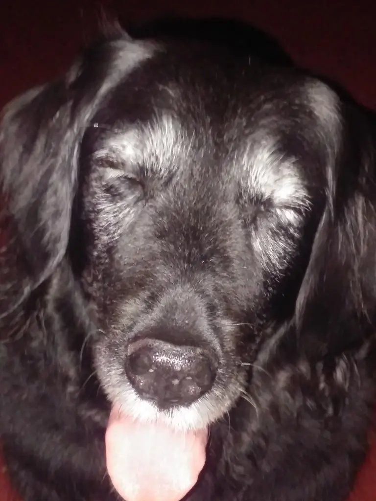 Image from Kessy