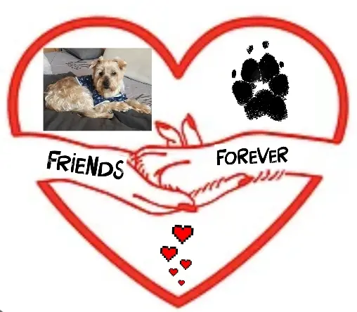 Andachtsbild von Krzysztof und Ewa mit Jacki tief im Herzen ❤