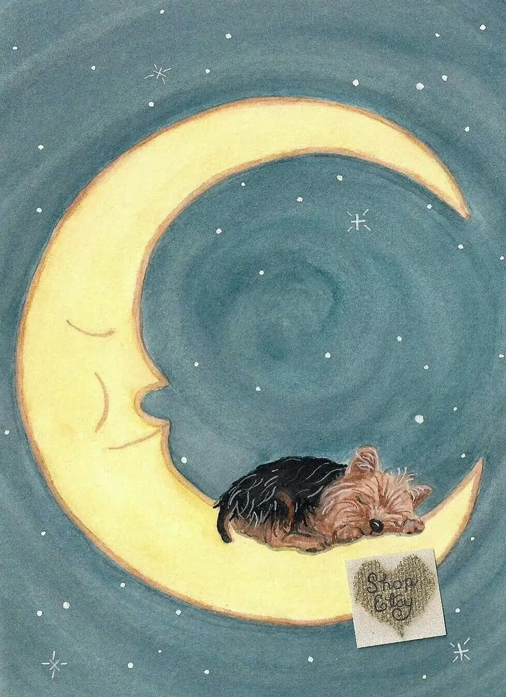 Andachtsbild von Martina mit Seelenhund Samy ♥️⭐♥️ für immer im Herzen