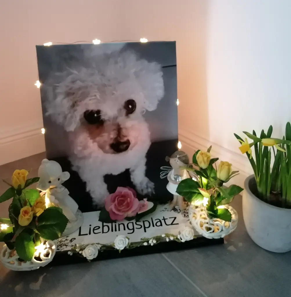 Andachtsbild von Gaby mit Snowy ❤️