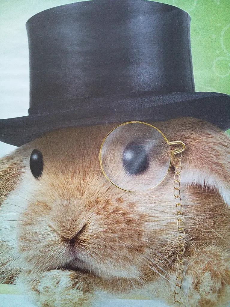 Andachtsbild von Monty