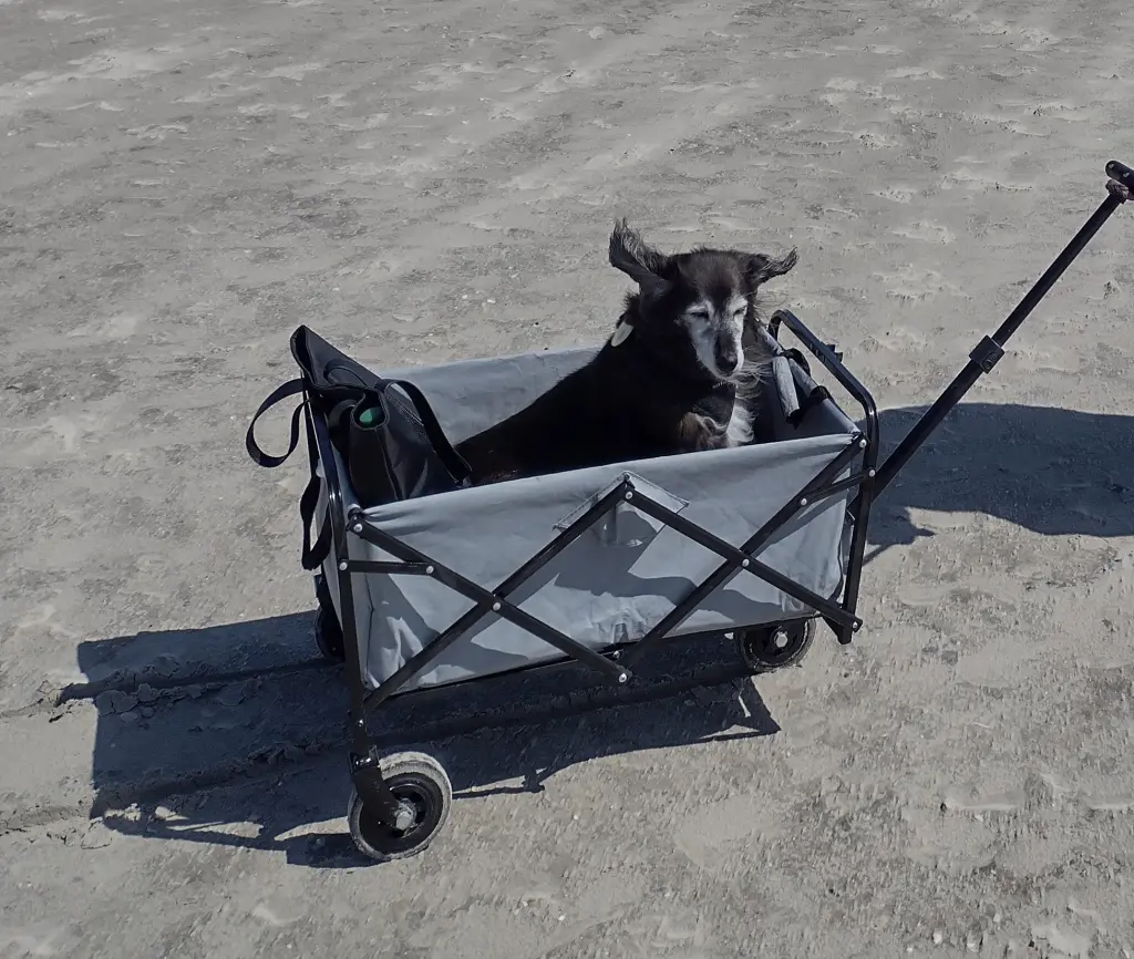 Andachtsbild von Beate mit Ella im ❤️