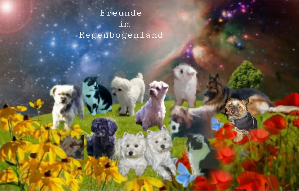 Andachtsbild von Ewa & Krzysztof mit Jacki tief im Herzen ❤