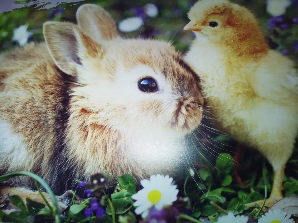 Andachtsbild von Von Mami