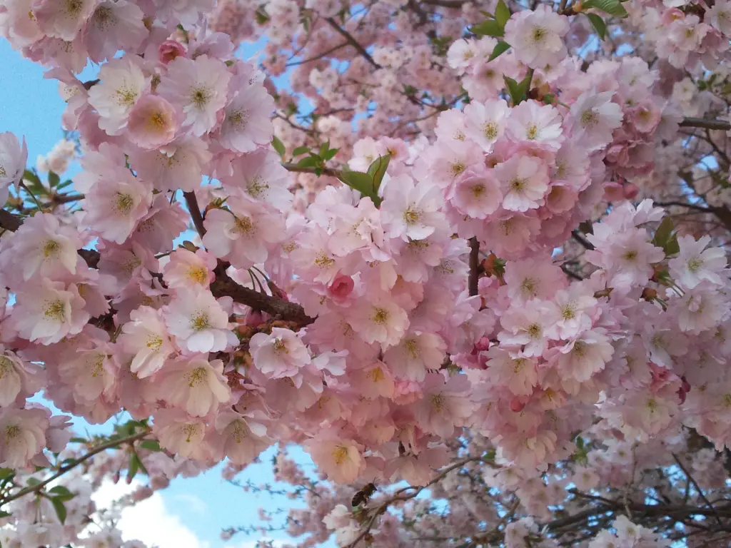 Andachtsbild von Von Mami