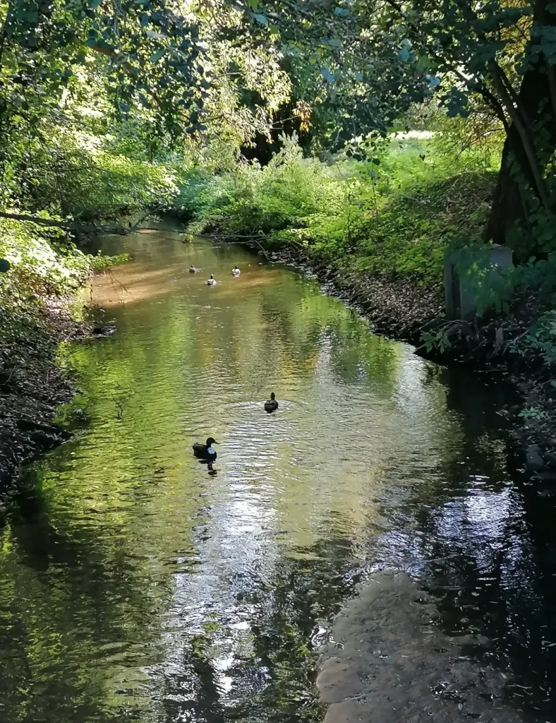 Andachtsbild von Snowy ❤️für Flick