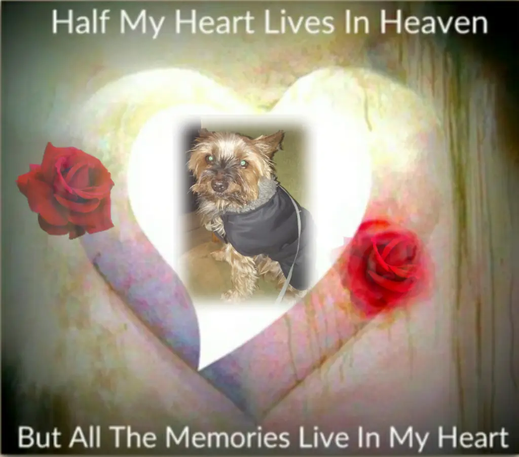 Andachtsbild von Ewa & Krzysztof mit Jacki tief im Herzen ❤