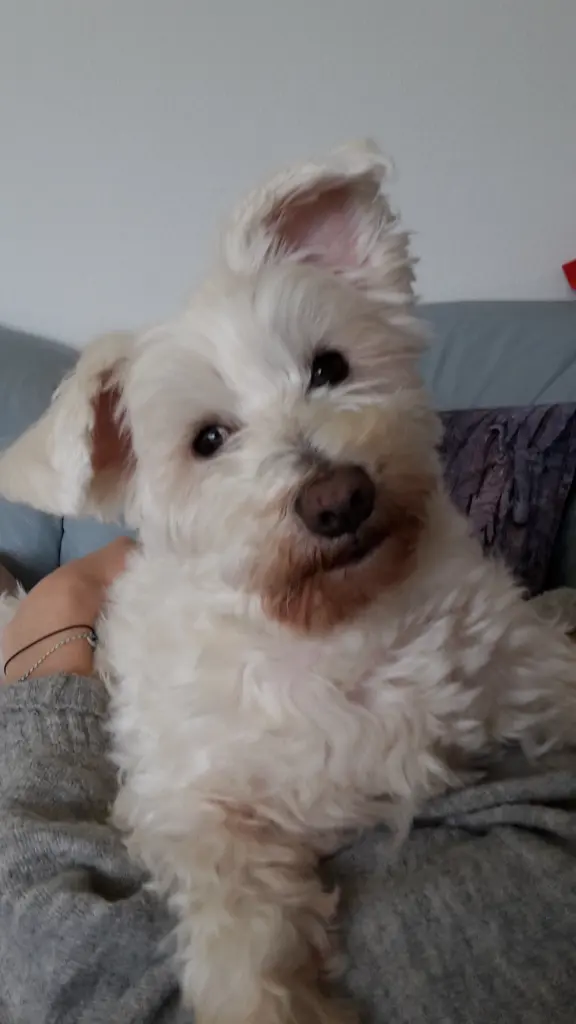 Andachtsbild von Liebe Sonntagsgrüße ♥️