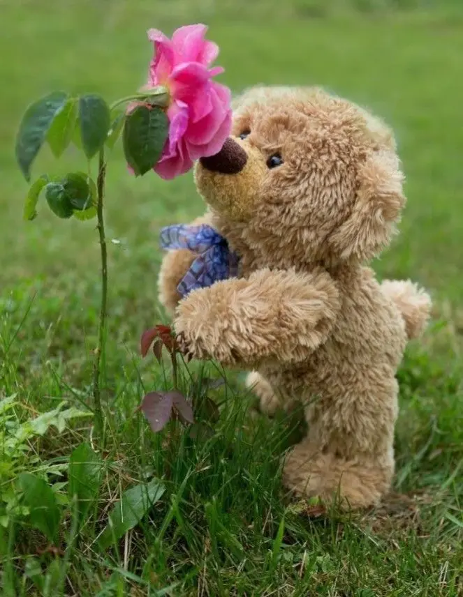 Andachtsbild von Gaby mit Snowy ❤️