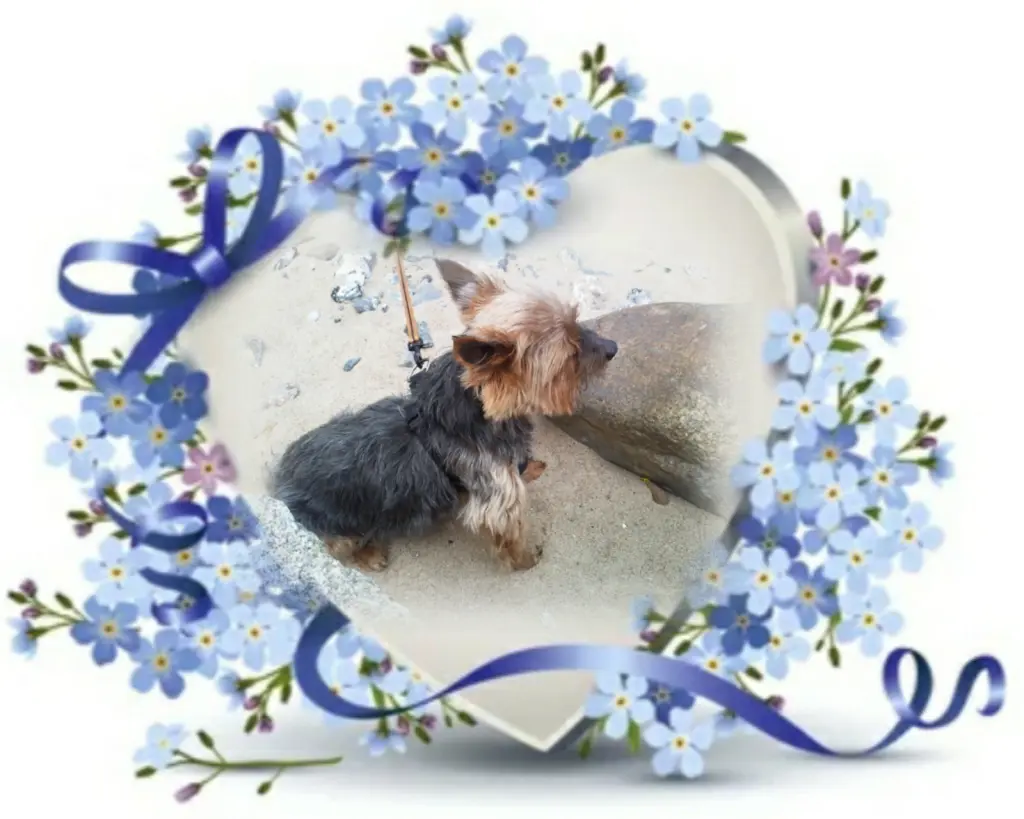 Andachtsbild von Ewa & Krzysztof mit Jacki tief im Herzen ❤