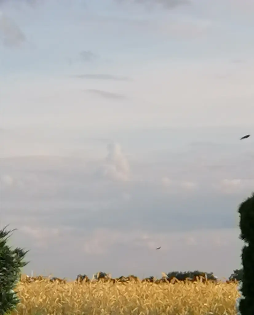 Andachtsbild von Gaby mit Snowy im Herzen 