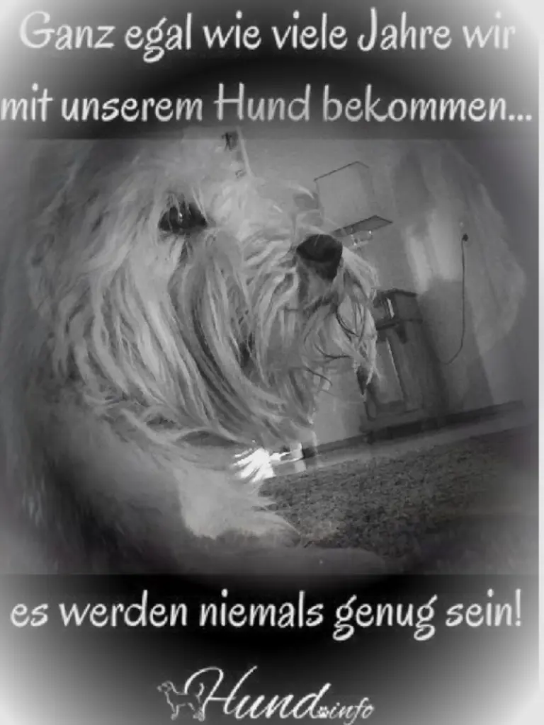 Andachtsbild von für Flick ❤️