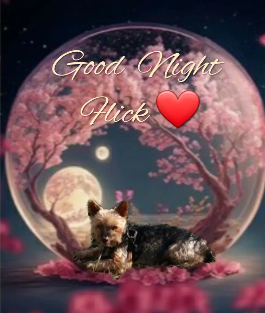 Andachtsbild von Ewa & Krzysztof mit Jacki tief im Herzen ❤