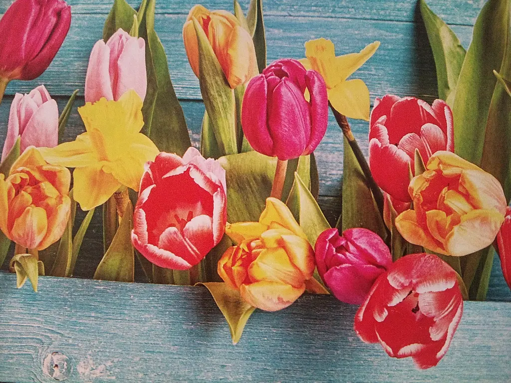 Andachtsbild von Frühlingsgrüße